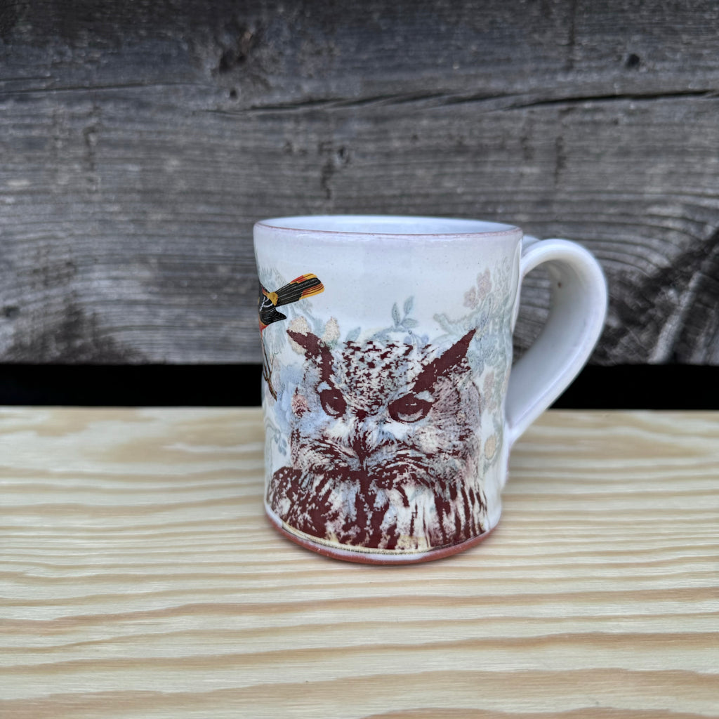 Decaled Owl Mug 6 by Justin Rothshank