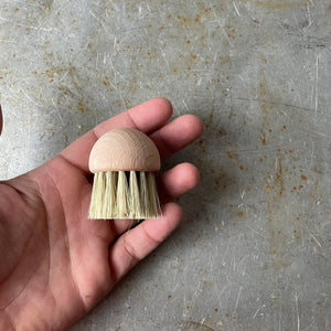 Mushroom Vegetable Brush