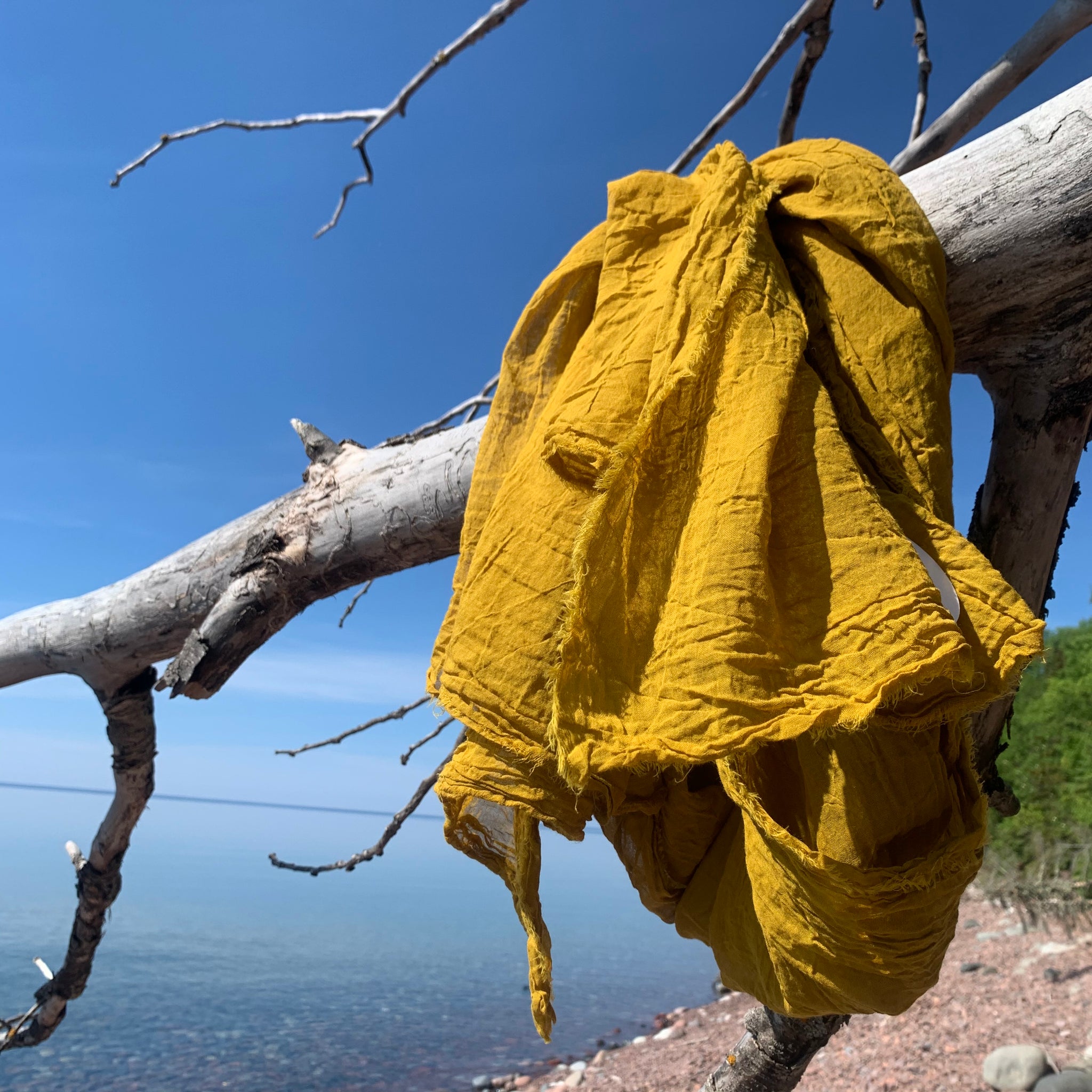 Organic Cotton Scarf in Saffron by Scarfshop